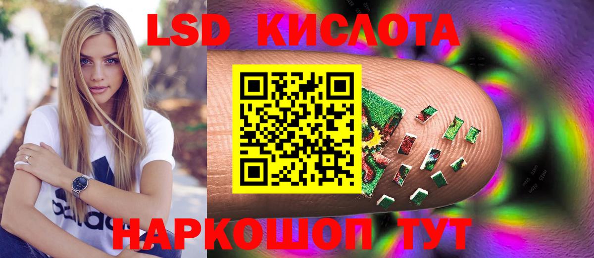 Лесной  LSD-25 экстази  ЛСД экстази кислота  Вход с VPN  LSD-25 экстази кислота 