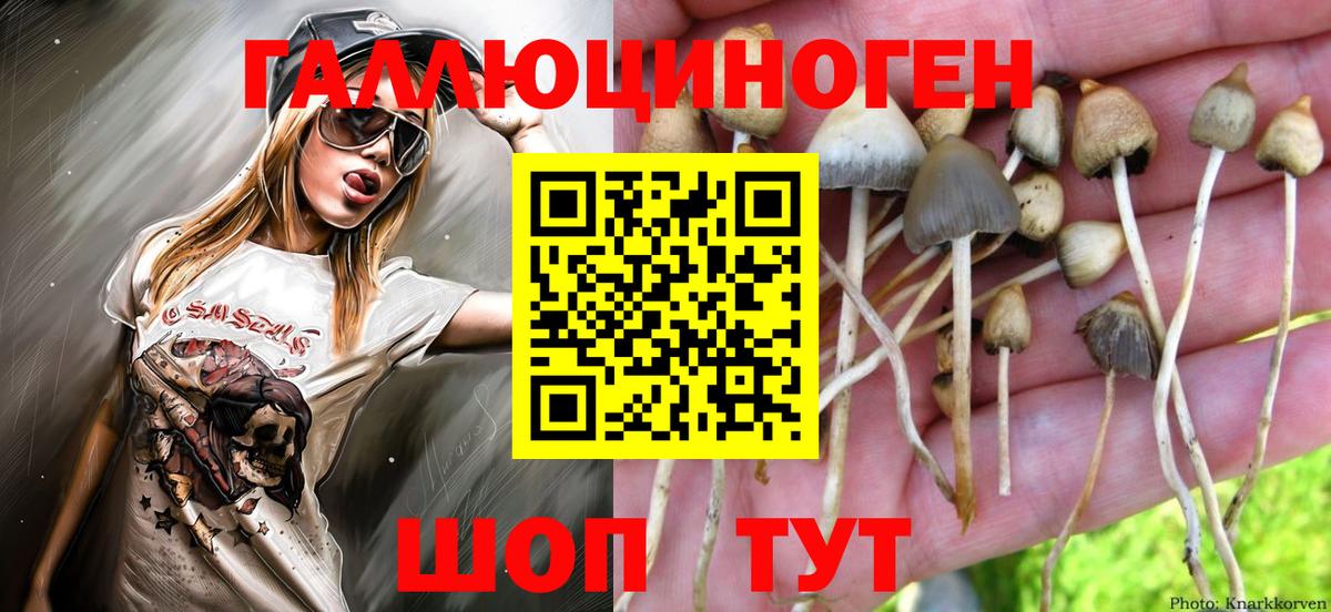 Лесной  Cocaine  Меф МЯУ МЯУ кристаллы  Вход с VPN  Экстази  Конопля  ГАШ 