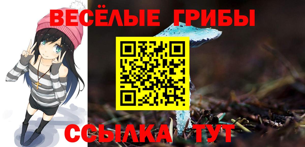 Псилоцибиновые грибы MAGIC MUSHROOMS  Вход с VPN  закладки  Лесной 