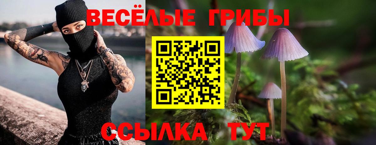 Псилоцибиновые грибы MAGIC MUSHROOMS Лесной